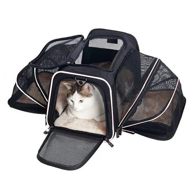 Sac à bandoulière extensible pour chat et chien   La boutique du sac a dos