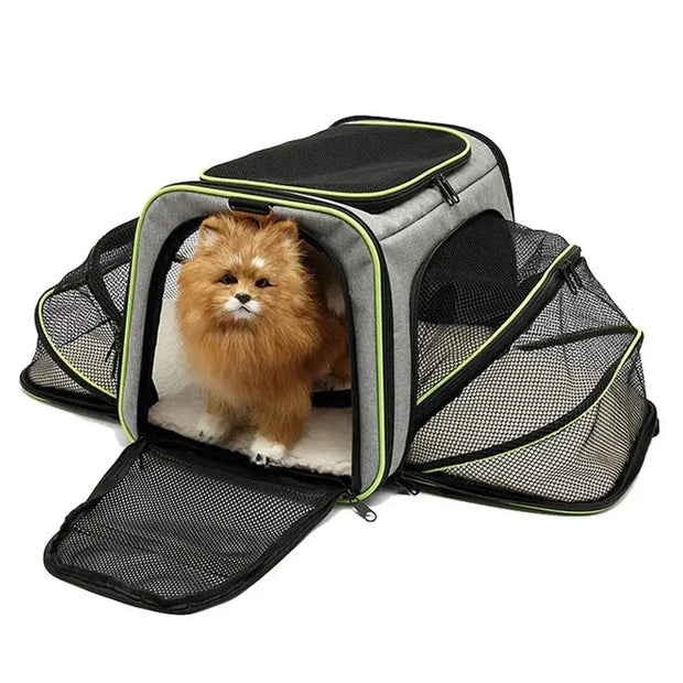 Sac à bandoulière extensible pour chat et chien   La boutique du sac a dos