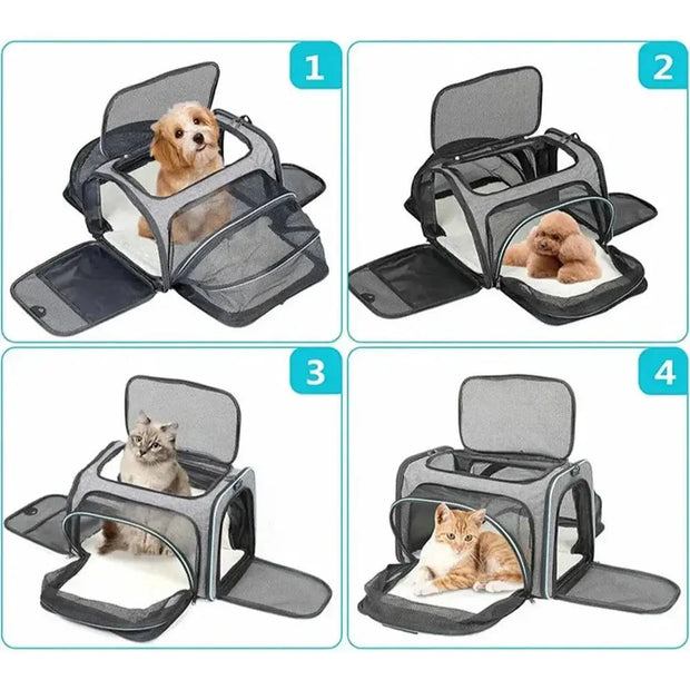 Sac à bandoulière extensible pour chat et chien   La boutique du sac a dos