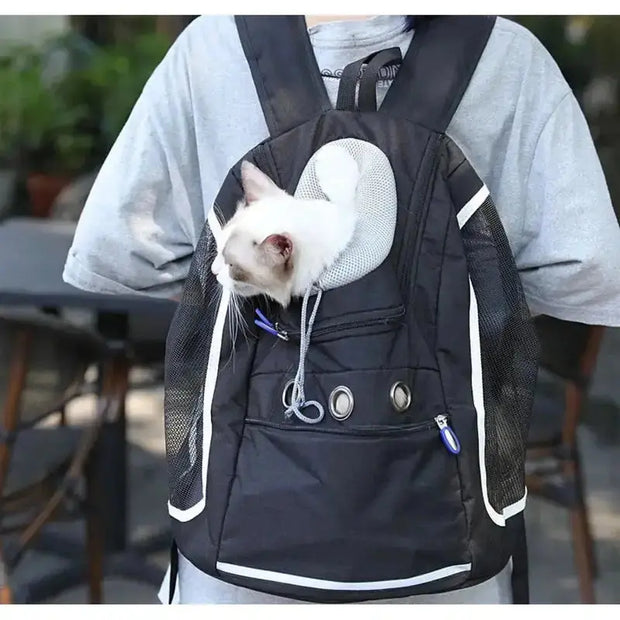 Sac à dos pour chien   La boutique du sac a dos